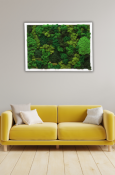 obraz z mchu w domu Tarnowskie Góry